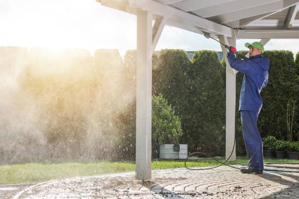 Best Soft Washing  in Winters, TX